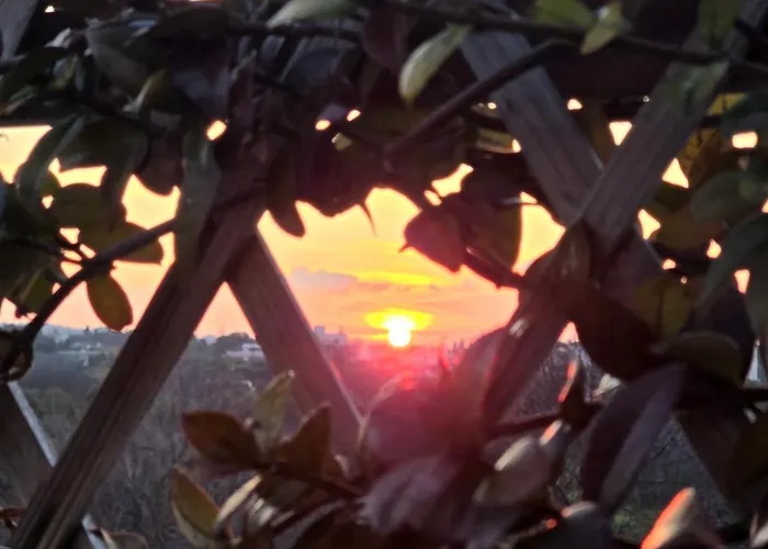 Vanas Roof Garden Σπίτι διακοπών