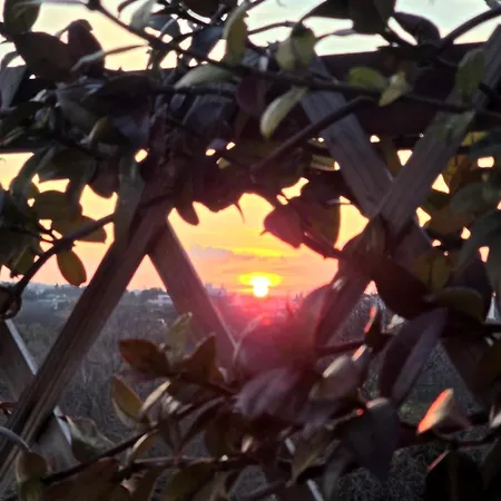 Vanas Roof Garden בית נופש